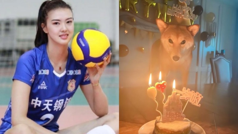 Đệ nhất mỹ nhân bóng chuyền Trung Quốc bị chỉ trích vì làm sinh nhật cho 'cún cưng' - Ảnh 2