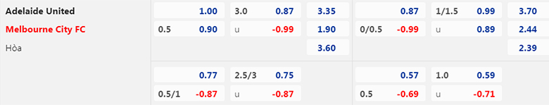 Nhận định, soi kèo Adelaide vs Melbourne City, 15h45 ngày 3/3: Đối thủ đáng ghét - Ảnh 3