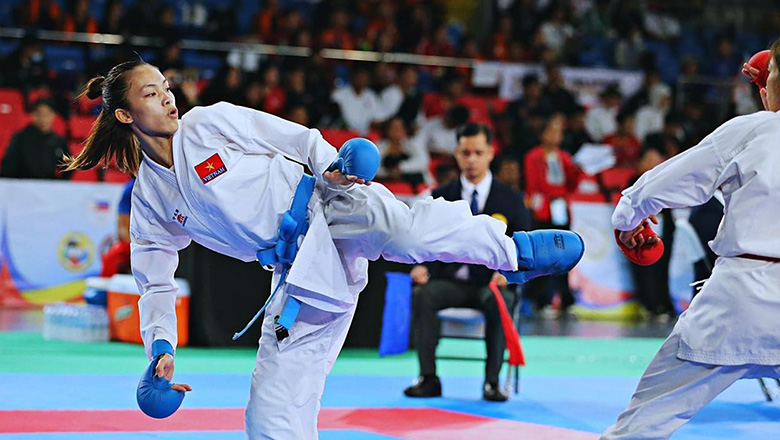 Karate Việt Nam giành 23 HCV ở giải Đông Nam Á - Ảnh 1