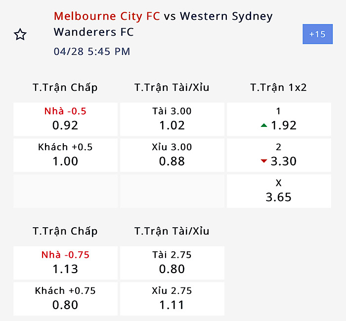 Nhận định, soi kèo Melbourne City vs Western Sydney Wanderers, 16h45 ngày 28/4: Sức mạnh của ta đây! - Ảnh 4