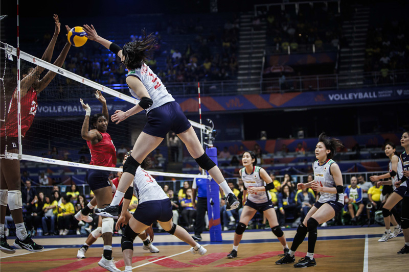 Link xem trực tiếp bóng chuyền Volleyball Nations League 2023 Nhật Bản vs Mỹ, 07h30 ngày 13/7 - Ảnh 1