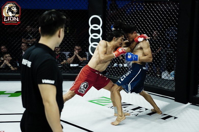 Vì sao MMA không đơn thuần chỉ là đánh đứng và khóa siết? (Phần 2) - Ảnh 5