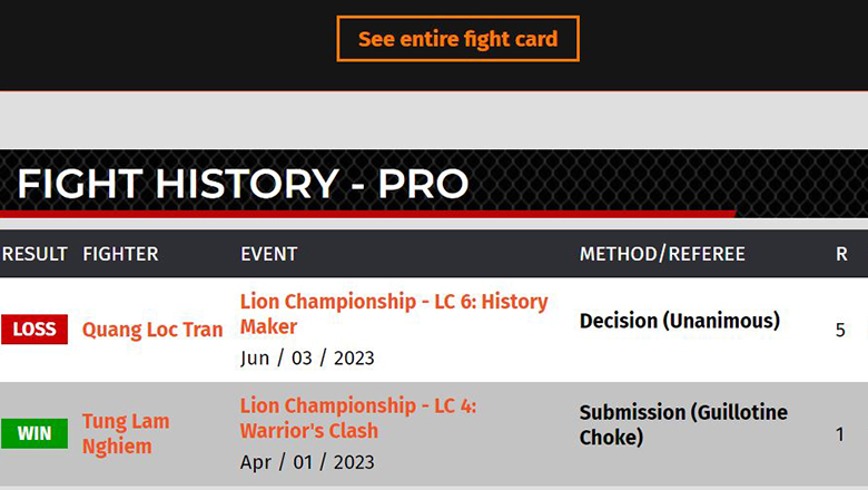 Lion Championship được quốc tế ghi nhận là giải MMA chuyên nghiệp - Ảnh 1
