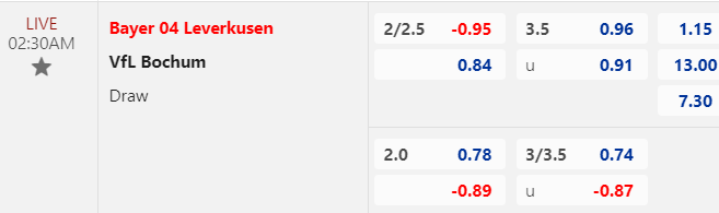 Nhận định, soi kèo Leverkusen vs Bochum, 02h30 ngày 21/12: Sức mạnh khó cưỡng - Ảnh 1