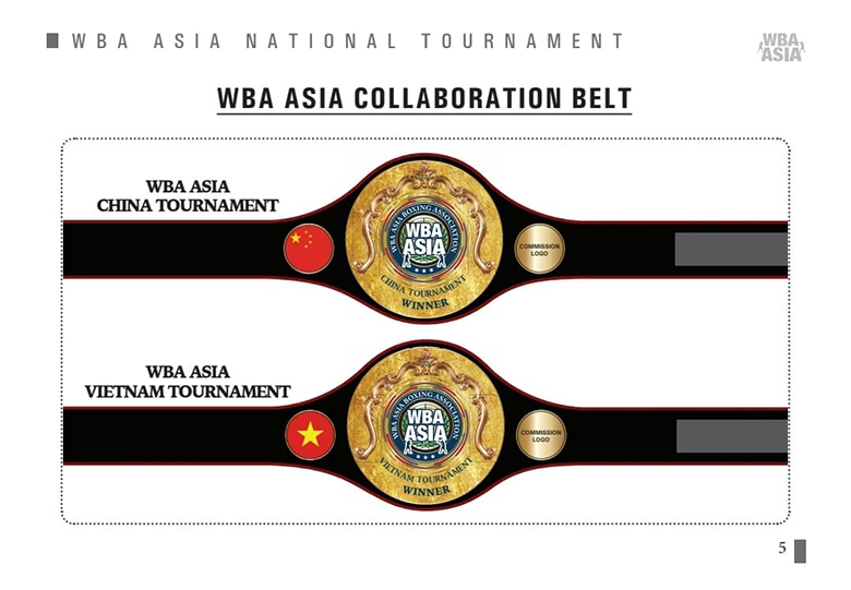 Việt Nam sắp có giải Boxing chuyên nghiệp, tranh đai cùng võ sĩ Trung Quốc và Hàn Quốc - Ảnh 1