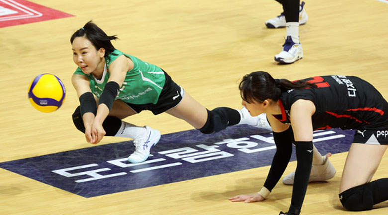 Tuyển thủ bóng chuyền quốc gia Hàn Quốc bị cấm thi đấu vì lăng mạ đồng đội - Ảnh 1