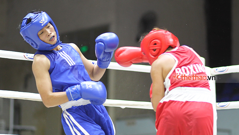 Tuyển Boxing Việt Nam tập huấn tại châu Âu trước thềm Olympic Paris - Ảnh 1