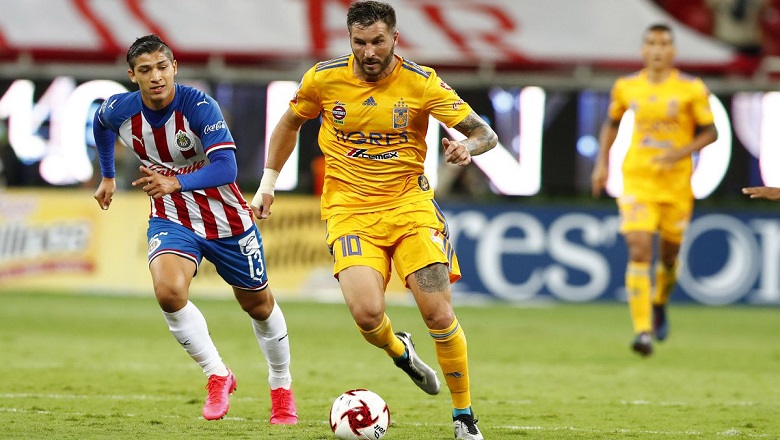 Nhận định Tigres UANL vs Guadalajara Chivas, VĐQG Mexico, lực lượng, đội hình dự kiến - Ảnh 1