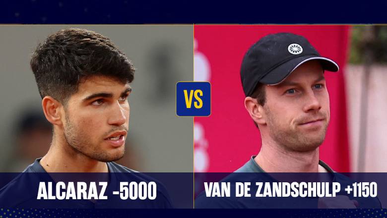 Link xem tennis Alcaraz vs De Zandschulp, Vòng 2 US Open 2024 - 8h30 ngày 30/8 - Ảnh 1