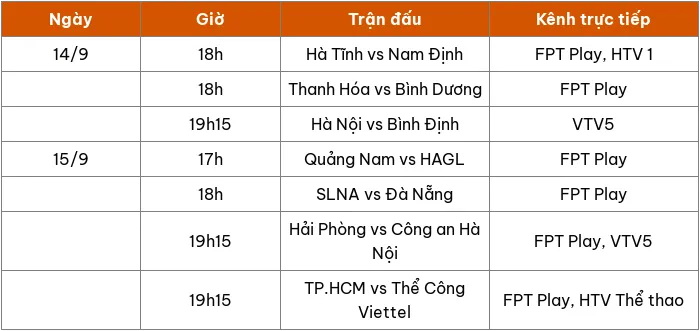 Lịch thi đấu vòng 1 V.League 2024/25: Đại chiến nhóm đầu ngay ngày khai màn - Ảnh 1