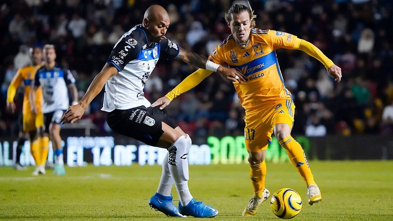 Nhận định Queretaro vs Tigres UANL, VĐQG Mexico, lực lượng, đội hình dự kiến - Ảnh 1