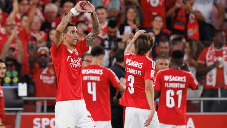 Nhận định Crvena Zvezda vs Benfica, Cúp C1 châu Âu, lực lượng, đội hình dự kiến - Ảnh 1