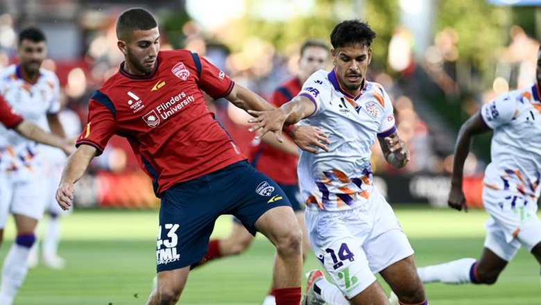 Nhận định Adelaide vs Perth Glory, VĐQG Úc, lực lượng, đội hình dự kiến - Ảnh 4