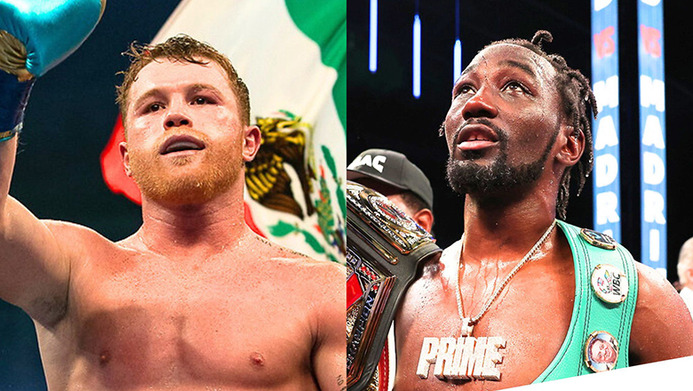 Canelo Alvarez hủy cặp đấu với Terence Crawford - Ảnh 1