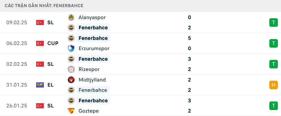 Soi kèo Fenerbahce vs Anderlecht, Cúp C2 châu Âu, lực lượng, đội hình dự kiến - Ảnh 2