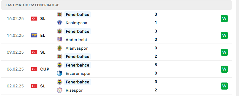 Nhận định Anderlecht vs Fenerbahce, Cúp C2 châu Âu, lực lượng, đội hình dự kiến - Ảnh 3