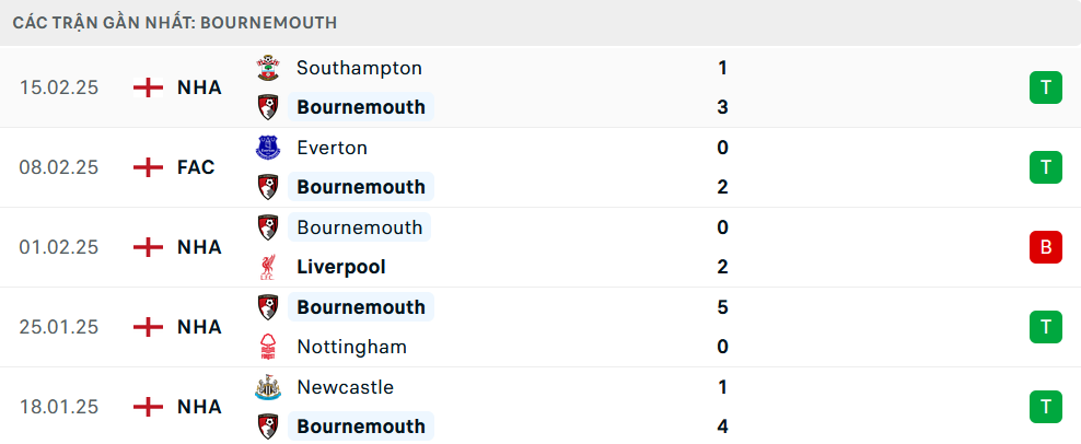 Nhận định Bournemouth vs Wolverhampton, Ngoại hạng Anh, lực lượng, đội hình dự kiến - Ảnh 1