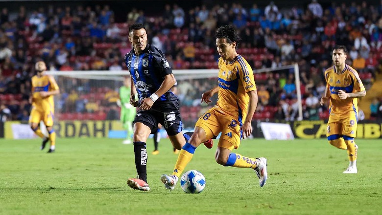 Nhận định Tigres UANL vs Queretaro, VĐQG Mexico, lực lượng, đội hình dự kiến - Ảnh 1