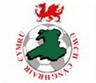 Welsh Premier League