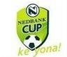 South Africa League Cup