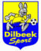 Dilbeek Sport