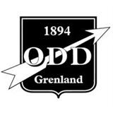 Odd Grenland