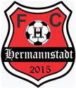 AFC Hermannstadt