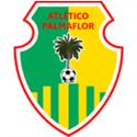 Atletico Palmaflor Vinto