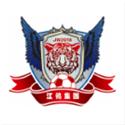 Wenzhou Professional Football Club