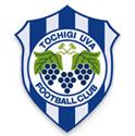 Tochigi City