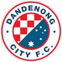Dandenong City U20