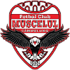 Muscelul Campulung