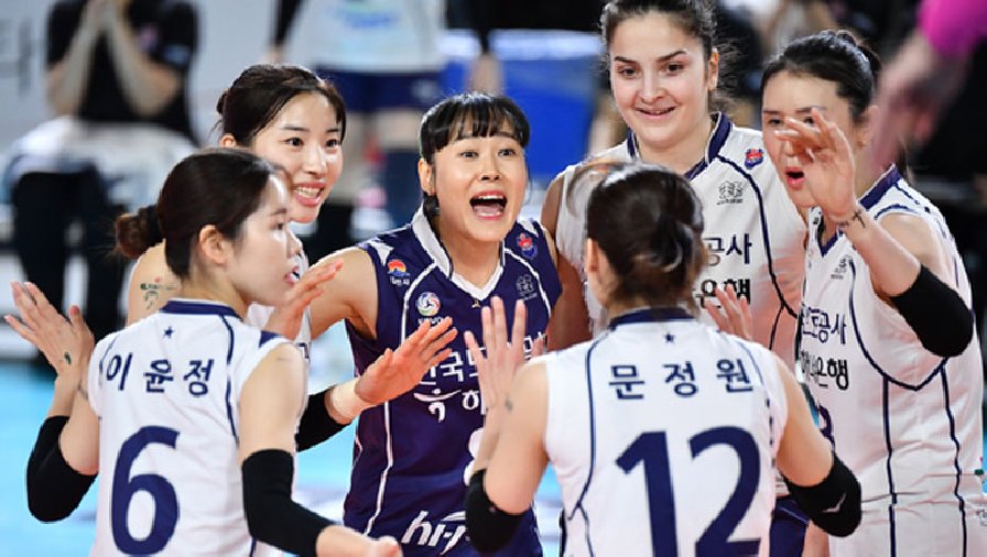 Hàn Quốc lần đầu cử đại diện, thách thức chức vô địch của tuyển bóng chuyền nữ Việt Nam
