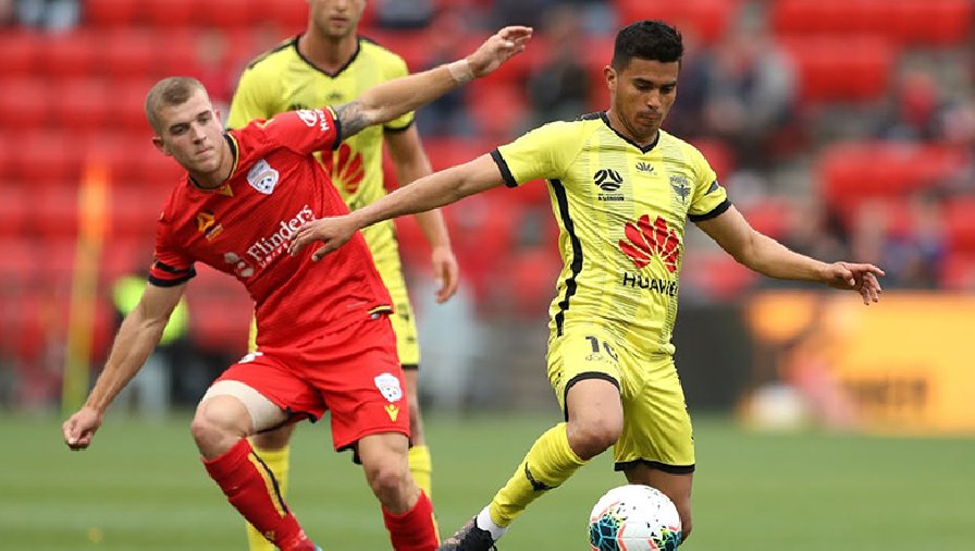 Nhận định, soi kèo Adelaide United vs Wellington Phoenix, 15h45 ngày 4/1: Khách thăng hoa