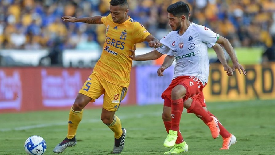 Nhận định, soi kèo Necaxa vs Tigres UANL, 08h05 ngày 04/03: Trở lại mạch thắng