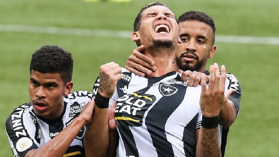 Nhận định, soi kèo Crystal Palace vs Botafogo, 19h30 ngày 3/12: Lần đầu chạm mặt