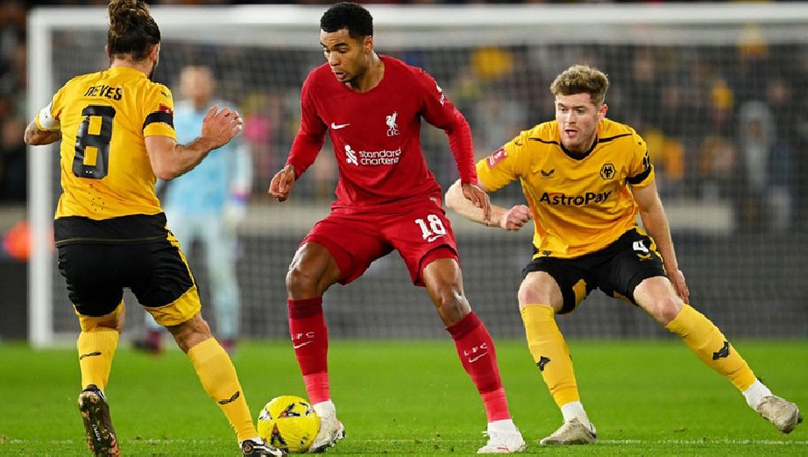 Siêu máy tính dự đoán kết quả Wolves vs Liverpool, 22h00 ngày 4/2