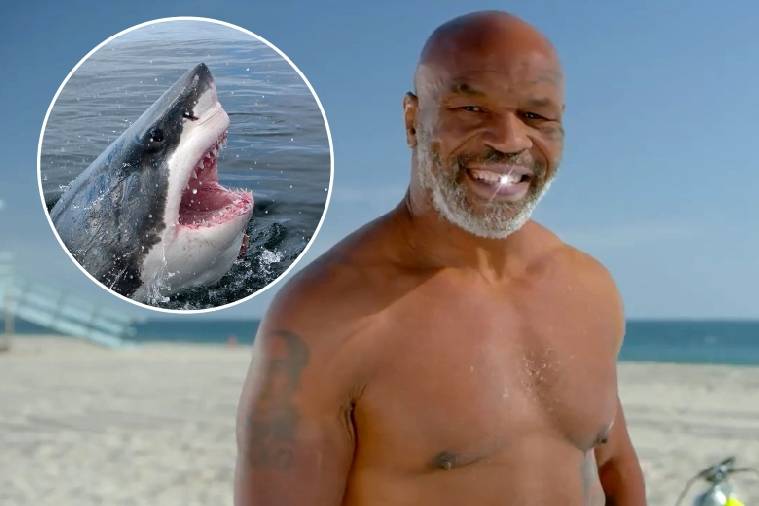 Mike Tyson: Được mời dự Shark Week mà tưởng nhầm là Shark Tank