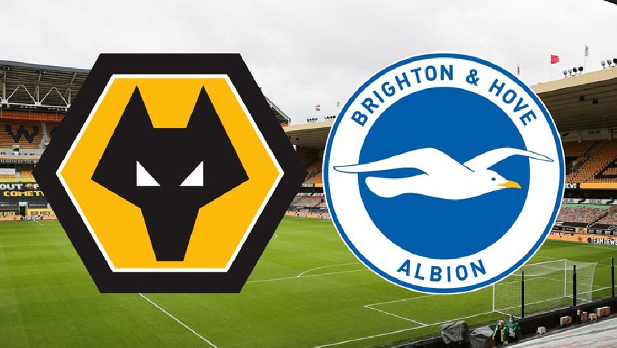 Thành tích, lịch sử đối đầu Wolves vs Brighton, 22h00 ngày 5/11