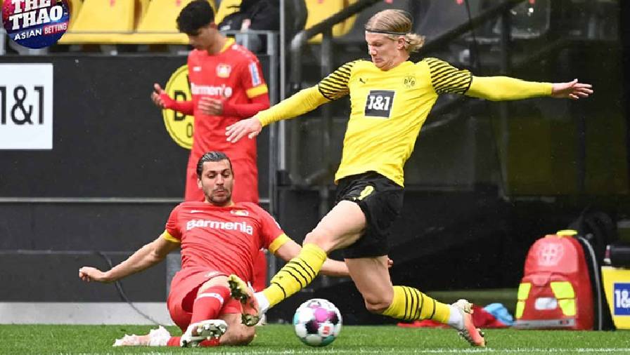 Thành tích, lịch sử đối đầu Dortmund vs Leverkusen, 21h30 ngày 6/2
