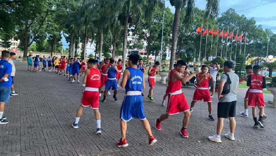 Gần 500 võ sĩ tham dự giải vô địch Boxing trẻ toàn quốc 2022