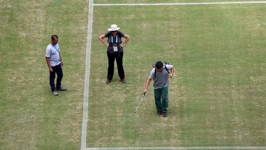 FIFA từng phun sơn xanh lên mặt cỏ để đảm bảo thẩm mỹ cho 1 trận đấu World Cup