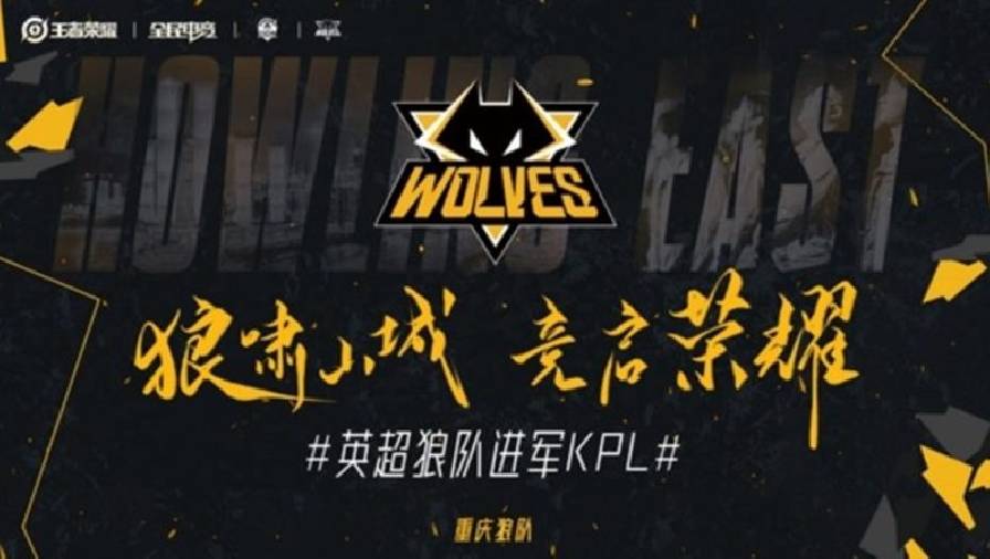Vương Giả Vinh Diệu: CLB Wolves mua lại Chongqing QGhappy, gia nhập KPL