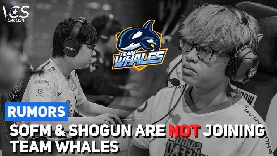 Sofm và Shogun không gia nhập Team Whales