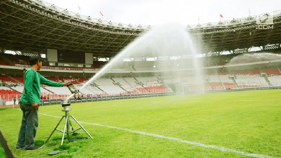 Mặt cỏ sân Bung Karno bị hư hại nặng, Indonesia phải vá víu theo yêu cầu của đoàn thanh tra FIFA