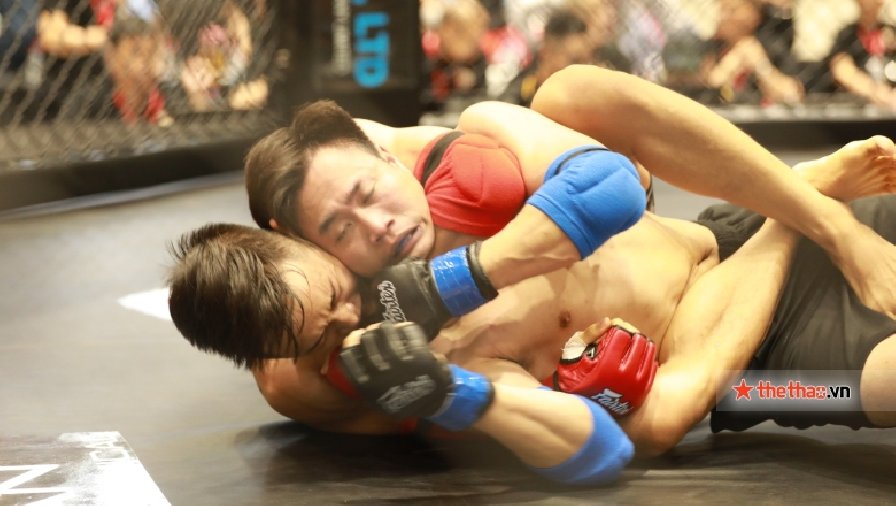 Xem giải MMA Việt Nam Lion Championship ở đâu, kênh nào?