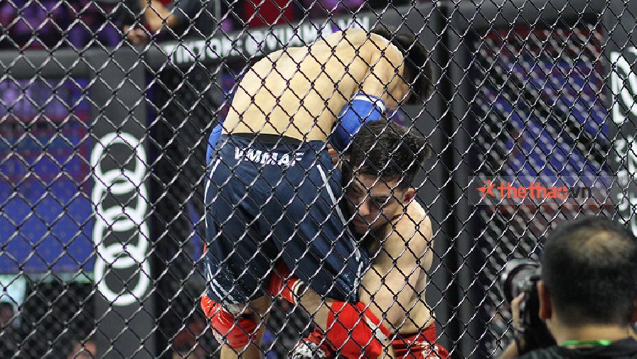 Xem trực tiếp giải MMA Việt Nam Lion Championship 8 ở đâu?