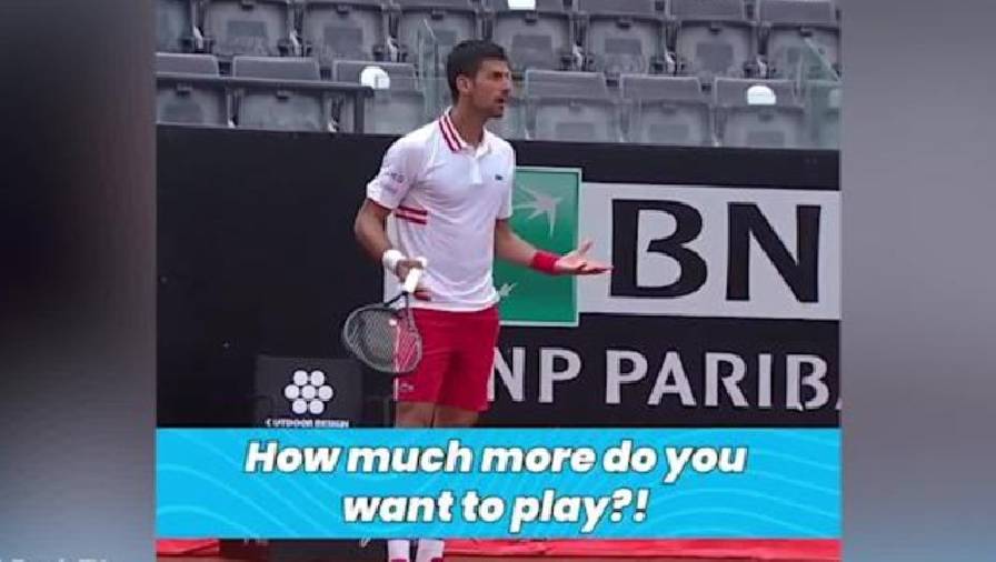 Djokovic muối mặt xin lỗi vì quát tháo trọng tài