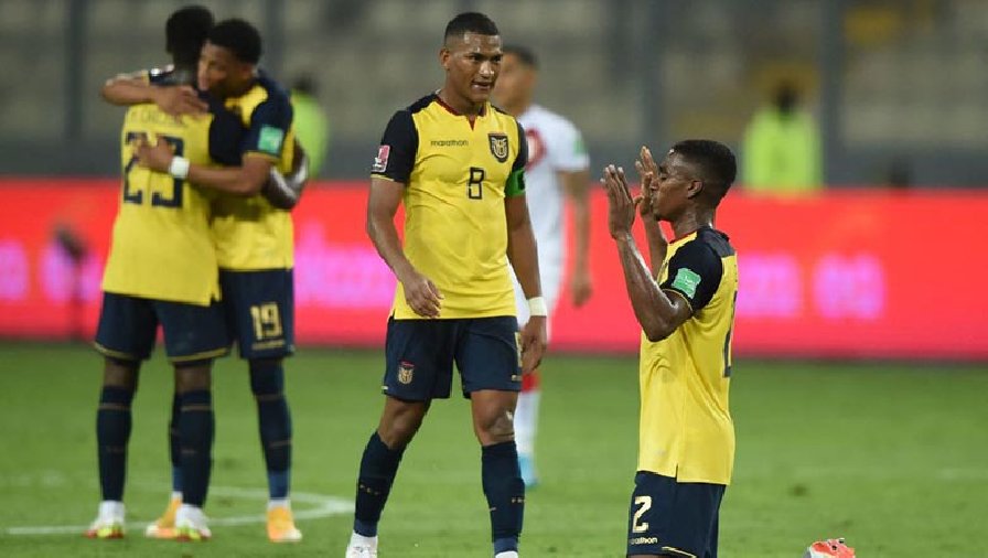 Đội hình Ecuador World Cup 2022: Chờ đợi nhân tố mới