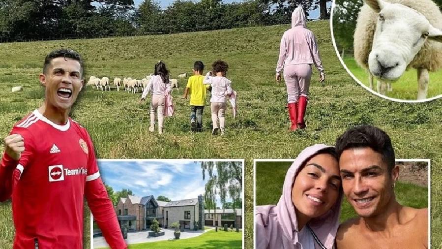 Ronaldo chuyển nhà vì không chịu nổi tiếng cừu kêu